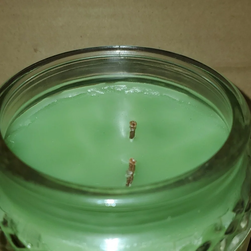 Meadow's‎ Edge 16 oz/Medium two-wick Gold Canyon candle